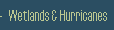 Wetlands and Hurricanes